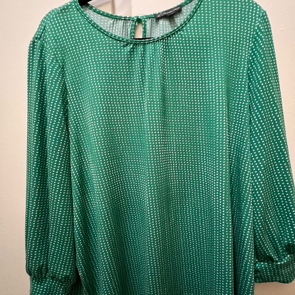 Adrianna Papell Green and White Top